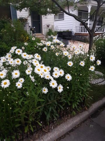 1607 N 4th STREET, Sheboygan, WI 53081