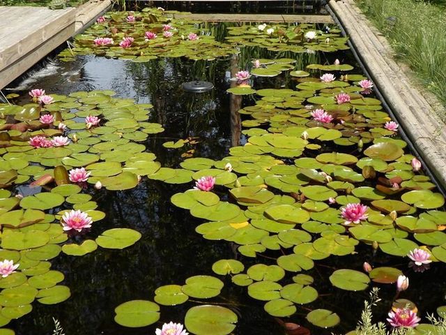 1607 N 4th STREET, Sheboygan, WI 53081