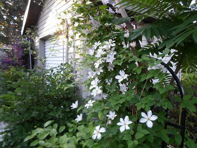 1607 N 4th STREET, Sheboygan, WI 53081