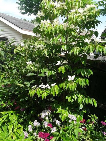 1607 N 4th STREET, Sheboygan, WI 53081