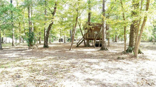 630 Hillbilly Heaven Road, Livingston, TX 77351