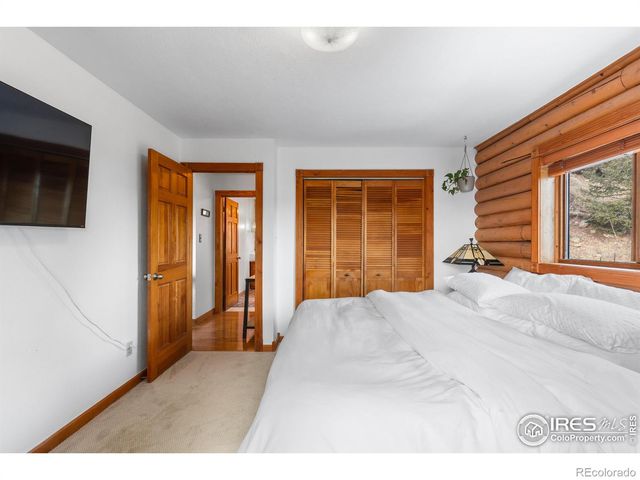 10221 Blue Sky Trail, Conifer, CO 80433