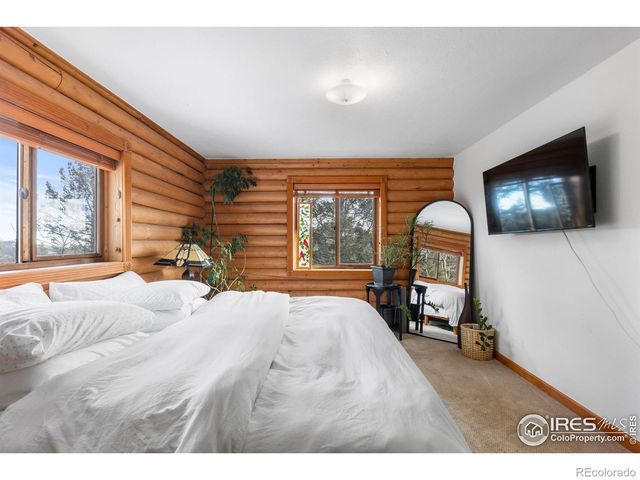 10221 Blue Sky Trail, Conifer, CO 80433