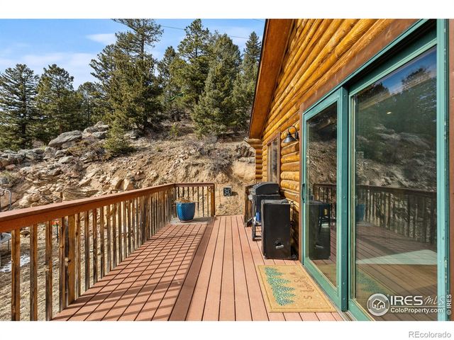 10221 Blue Sky Trail, Conifer, CO 80433