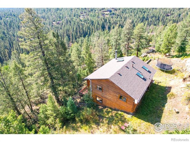 10221 Blue Sky Trail, Conifer, CO 80433