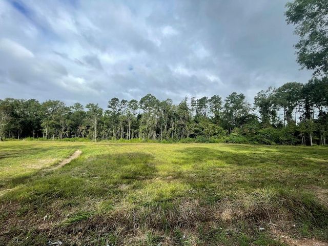 Hickory Flat Road, Kinder, LA 70648