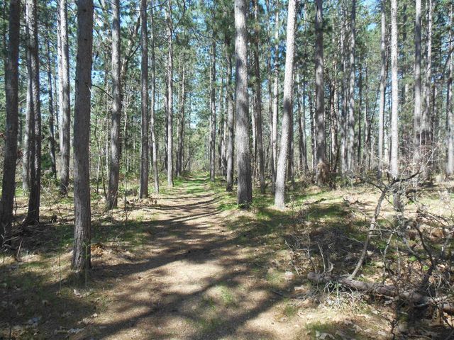 5871 Edith Schneider Road, Harrison, MI 48625