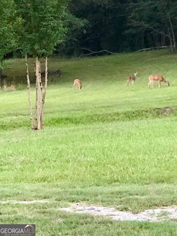 1044 Sardis Road, Rayle, GA 30660