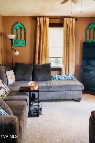 1209 Anderson Street, Bristol, TN 37620