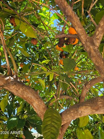 830 W AMERICA Street, Wickenburg, AZ 85390