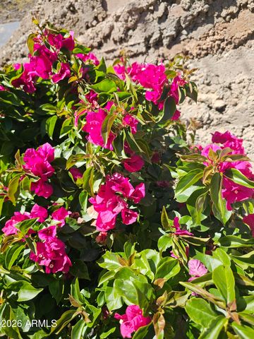 830 W AMERICA Street, Wickenburg, AZ 85390