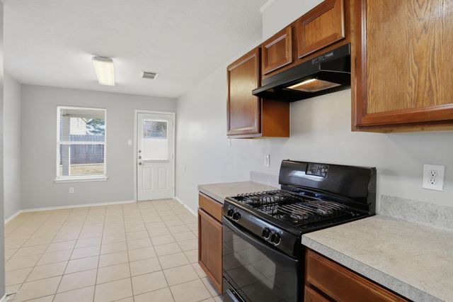 19207 Desert Moon Drive, Cypress, TX 77433