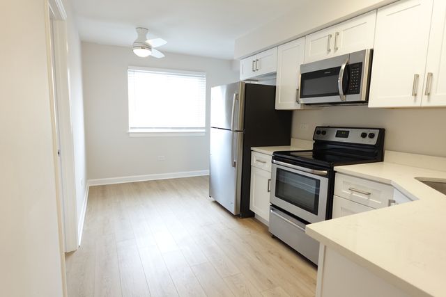 9813 Bianco Terrace A, Des Plaines, IL 60016