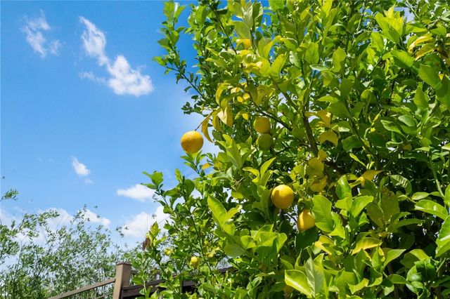 27555 Paper Bark Avenue, Murrieta, CA 92562