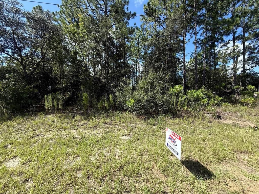 2190 W TACOMA DRIVE, Citrus Springs, FL 34434