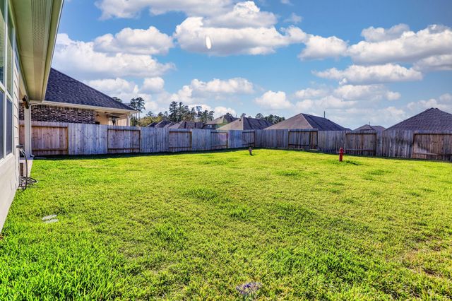 1064 Dancing Feather Street, Montgomery, TX 77316