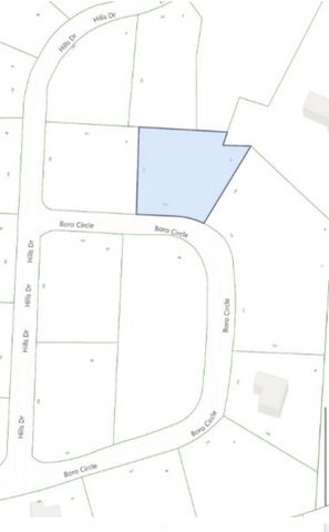 0 boro cir, Hillsboro, TN 37342