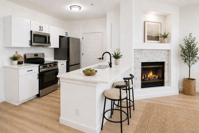 494 Black Feather Loop 106, Castle Rock, CO 80104