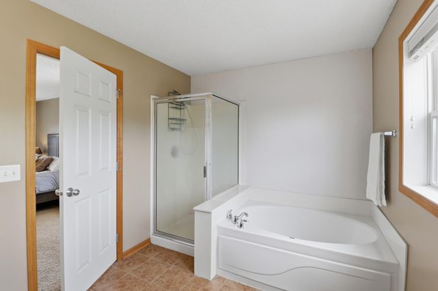 13663 Atwood Trail, Rosemount, MN 55068