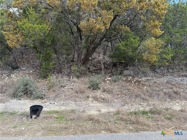 2192 WATERFRONT Drive, Canyon Lake, TX 78133