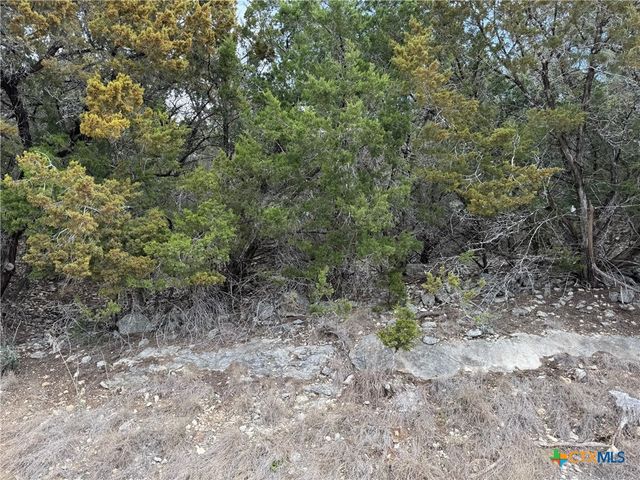 2192 WATERFRONT Drive, Canyon Lake, TX 78133