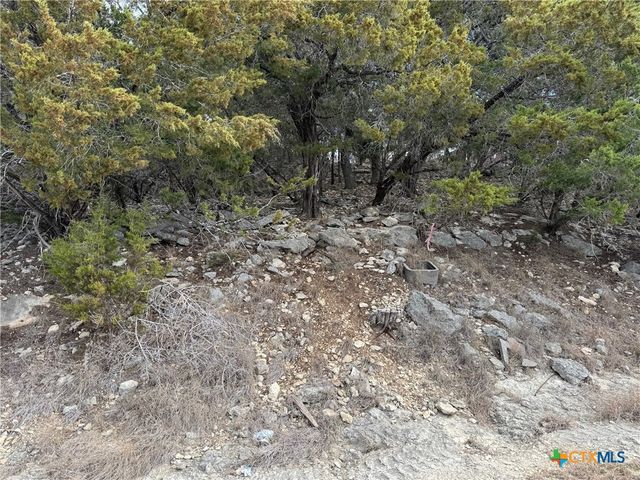 2192 WATERFRONT Drive, Canyon Lake, TX 78133