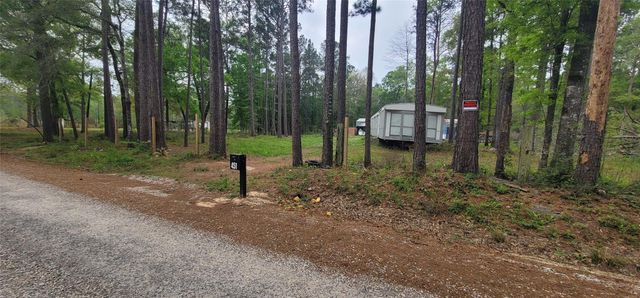 451 N Higgins Road, Shepherd, TX 77371