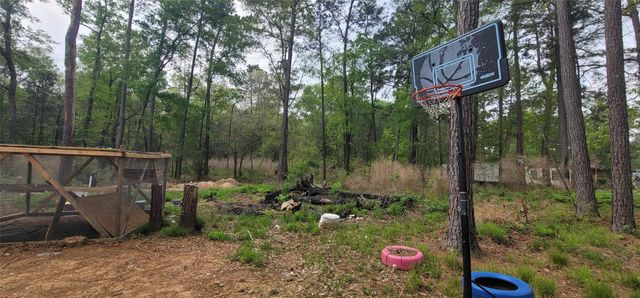 451 N Higgins Road, Shepherd, TX 77371