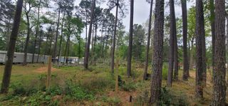 451 N Higgins Road, Shepherd, TX 77371