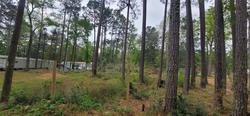 451 N Higgins Road, Shepherd, TX 77371