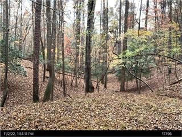 1705 Homer Wright Road, Talking Rock, GA 30175