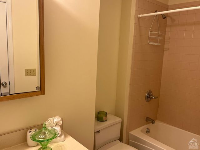 64 Liftside Drive E-5, Hunter, NY 12442