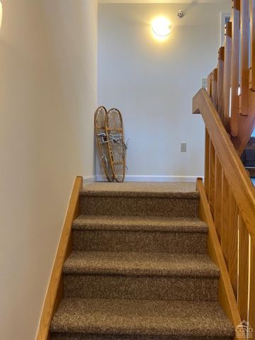 64 Liftside Drive E-5, Hunter, NY 12442