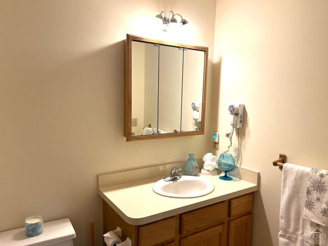 64 Liftside Drive E-5, Hunter, NY 12442