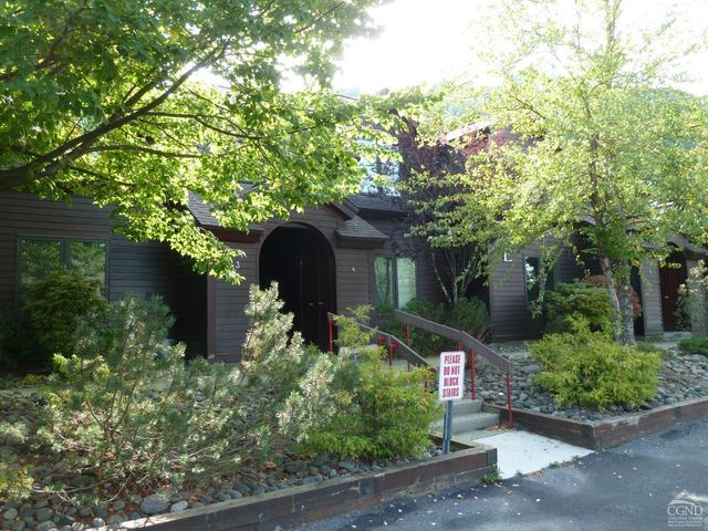 64 Liftside Drive E-5, Hunter, NY 12442