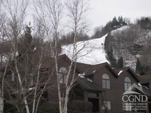 64 Liftside Drive E-5, Hunter, NY 12442