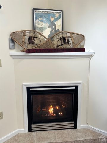 64 Liftside Drive E-5, Hunter, NY 12442