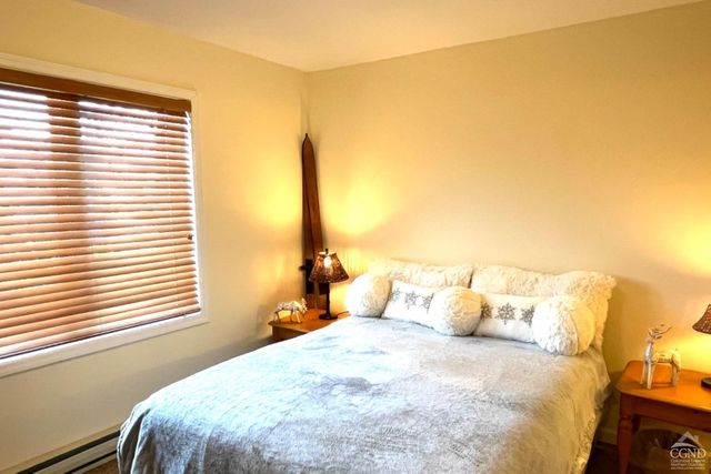 64 Liftside Drive E-5, Hunter, NY 12442