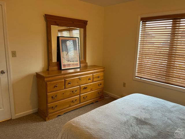 64 Liftside Drive E-5, Hunter, NY 12442