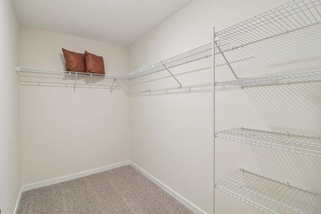 1703 baler Avenue, Aurora, IL 60503