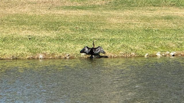 5457 SANDY SHELL DRIVE, Apollo Beach, FL 33572