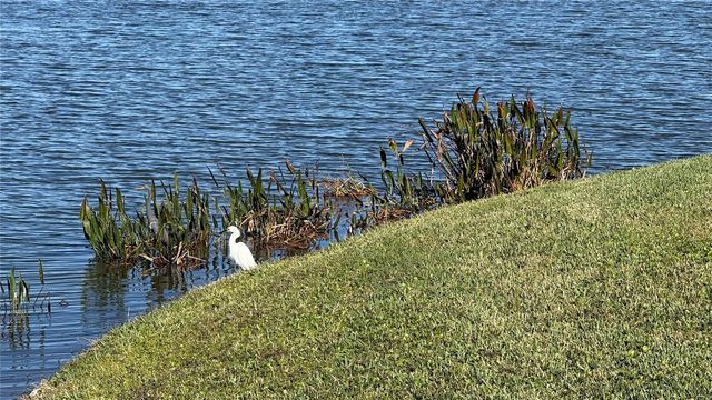 5457 SANDY SHELL DRIVE, Apollo Beach, FL 33572