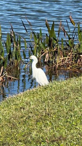 5457 SANDY SHELL DRIVE, Apollo Beach, FL 33572