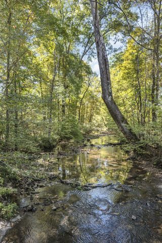 1194 Spann Rd, Charlotte, TN 37036