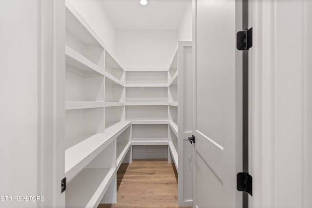 788 Blackberry Ridge Drive, Lenoir City, TN 37772