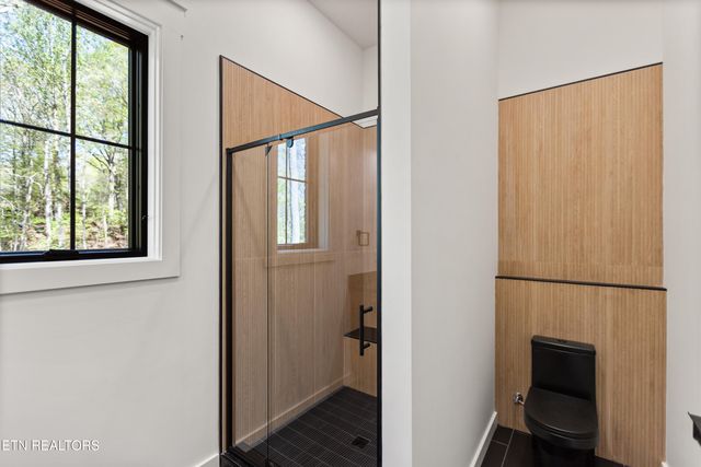 788 Blackberry Ridge Drive, Lenoir City, TN 37772