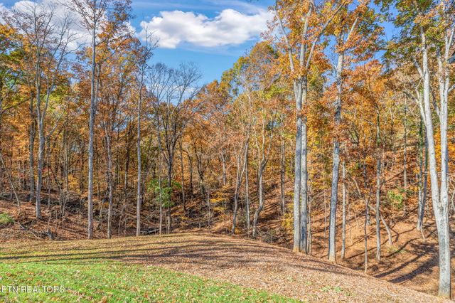 788 Blackberry Ridge Drive, Lenoir City, TN 37772