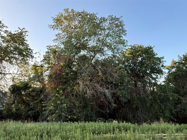 277 Zebrastone Way, Poolville, TX 76487