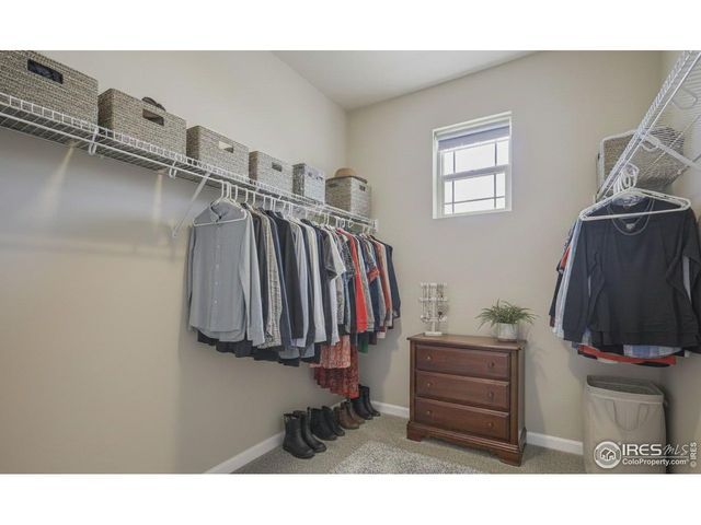 1826 Cord Grass Dr, Fort Collins, CO 80524