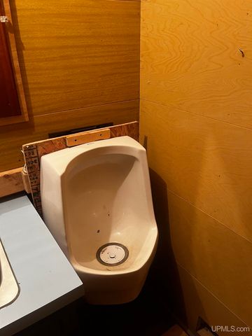 40 acres The Grade Road, Amasa, MI 49920